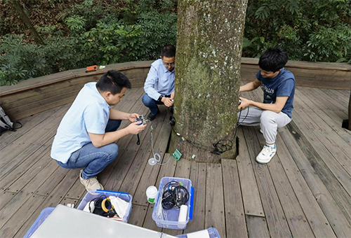 超聲波測(cè)樹傳感器 超聲波測(cè)樹傳感器