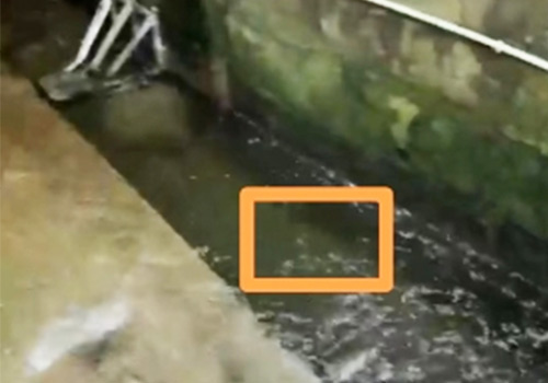 超聲波多普勒流速流量計(jì) 超聲波多普勒流速流量計(jì)